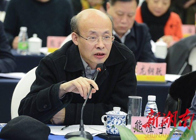 湖南文化创意产业咋发展,这些顶级专家来"把脉" 献计