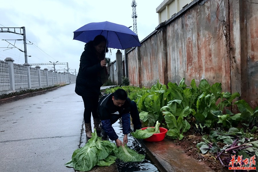 湖南在线 焦点图 正文华声在线2月8日讯(通讯员 雷小飞 江思侠 邓进