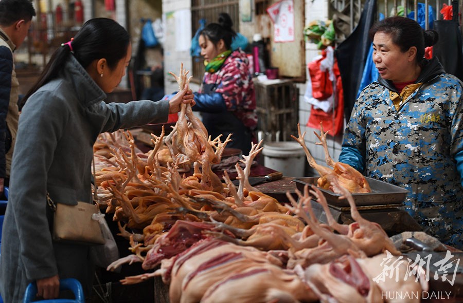 长沙活禽市场复市交易