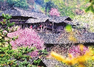湖南印象丨立春至谷雨 潇湘好寻春