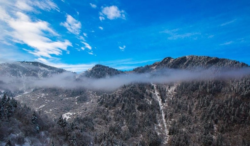 航拍神農架林區雪後初霽 原始森林玉琢銀裝