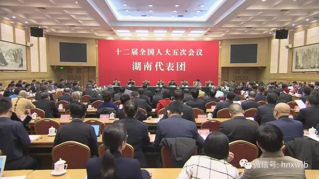 湖南代表团举行第二次全体会议审议政府工作报告