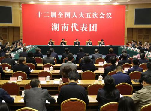 湖南代表团举行第三次全体会议 审议政府工作报告