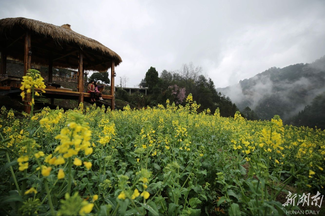 张家界武陵源:山谷民宿春色美