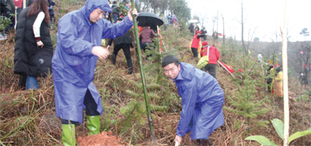 怀化市民植树忙