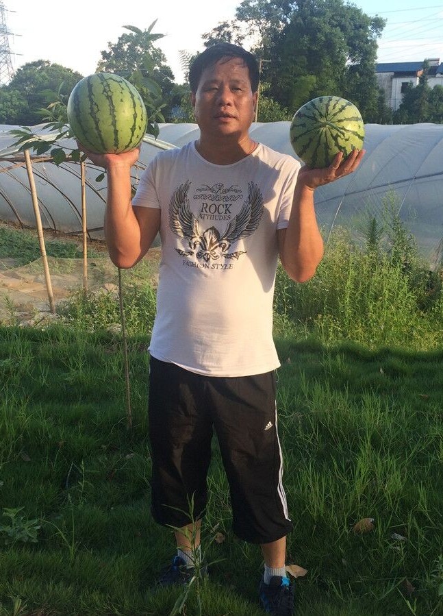 黄爱华：西瓜产业让村民的钱袋子鼓起来了