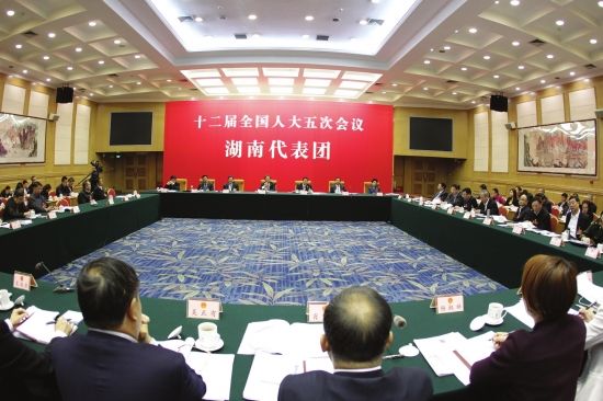 湖南代表团举行第八次全体会议 张平杜家毫许达哲等参加
