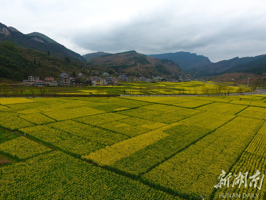 3月22日拍摄的龙山县靛房镇先锋村.