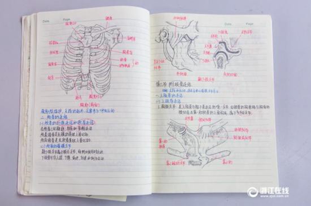 配上精緻的人體器官手繪圖,眼前的這份免疫學和解剖學的筆記,著實