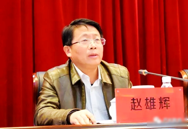 株洲市芦淞区召开第六届学前教育管理论坛