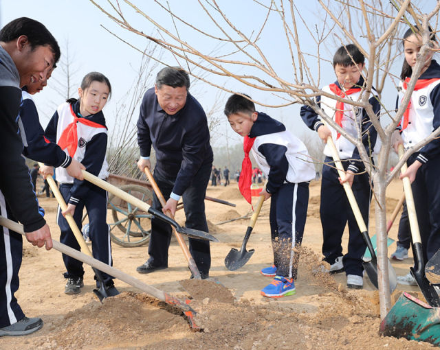 习近平：把造林绿化事业一代接着一代干下去