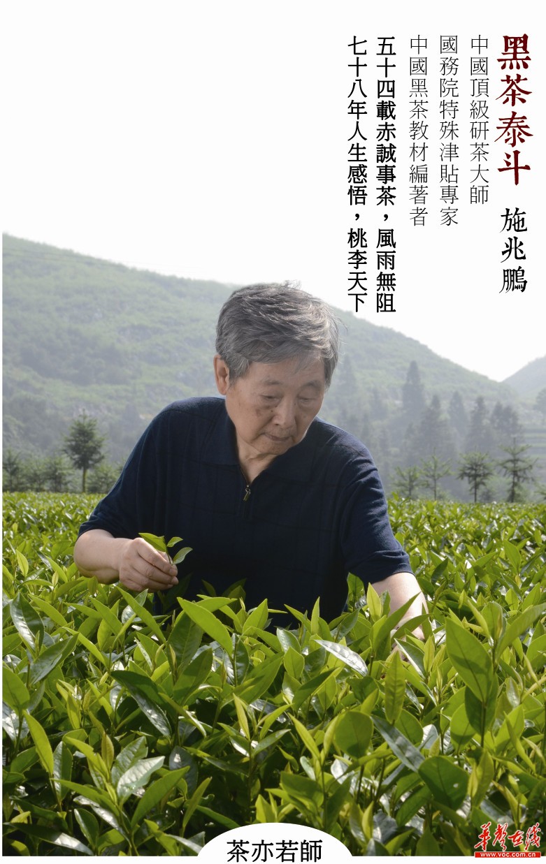中国茶学泰斗,顶级研茶大师,中国茶产业终身成就奖,中国黑茶教材编著