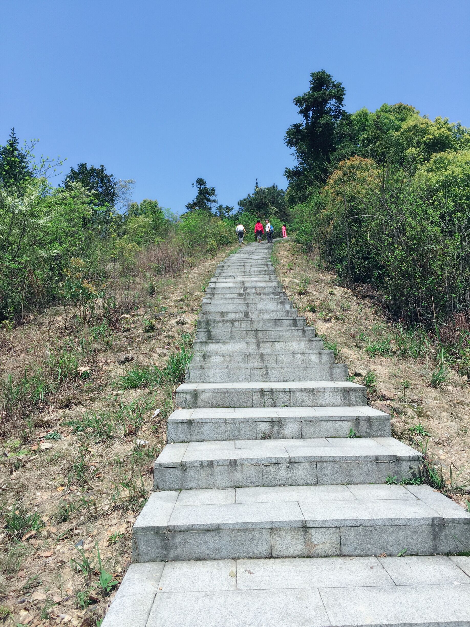 桃花岭山不高,却有些陡.大人们都气喘吁吁了,孩子们追逐着跑上了顶.