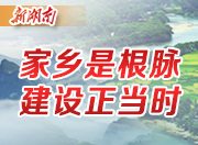 [老乡回家乡 共建新湖南]涟商夏国平：在乡间小镇建起&ldquo;中央商务区&rdquo;
