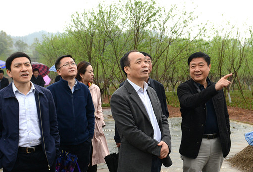 周德睿：下“绣花”功夫打造经得起历史检验的桃花源