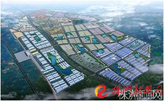 开发区鸟瞰图