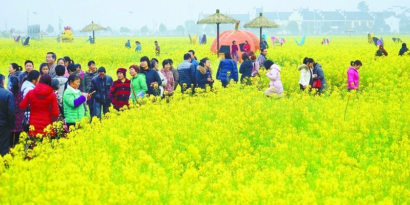 2017湖南春季乡村旅游节开幕 人面花相映