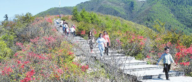 “十里杜鹃”满山红