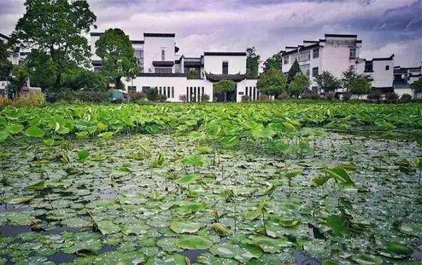 这对60后夫妇退休后改造旧民居，把诗和远方过成日常