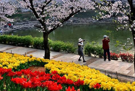 湖南省植物园5月31日免费开放