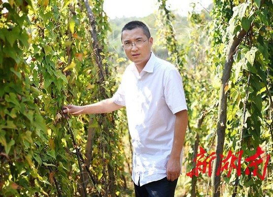 娄底市双峰县青树坪镇党委书记 李国庆