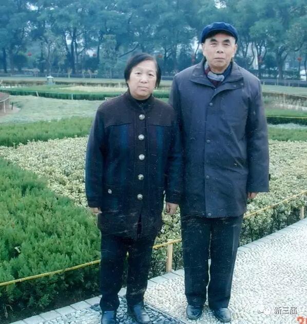 父亲节·散文丨张效雄:与父亲对话 - 记忆 - 新湖南