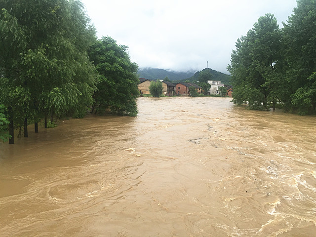 暴雨袭郴:城区多路段积水 县市区部分农田被淹