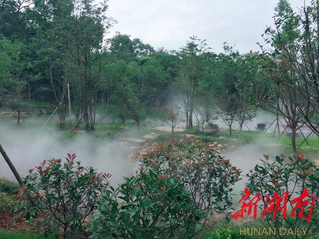 畅享青山绿景,长沙市新三年造绿行动现场观摩启动