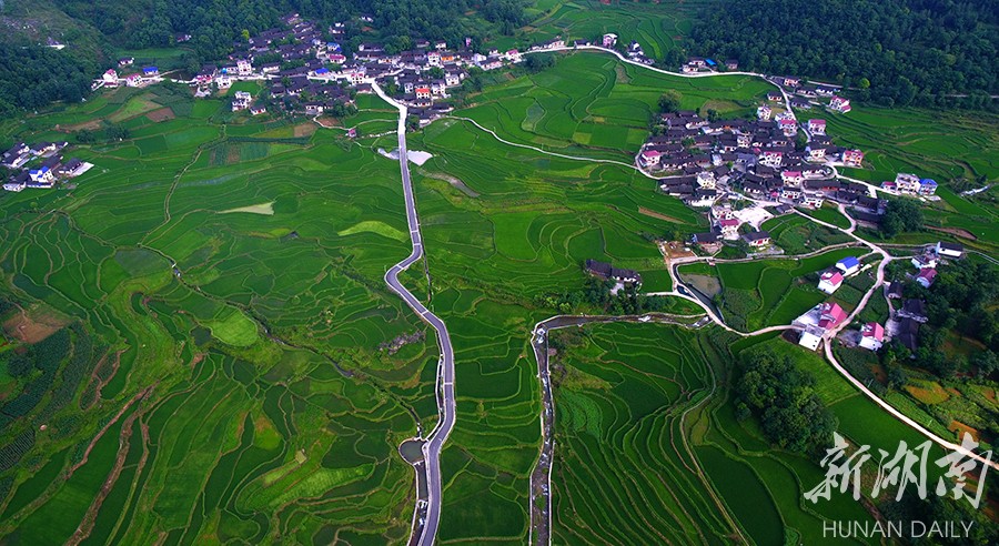 给大地铺上千亩绿毯