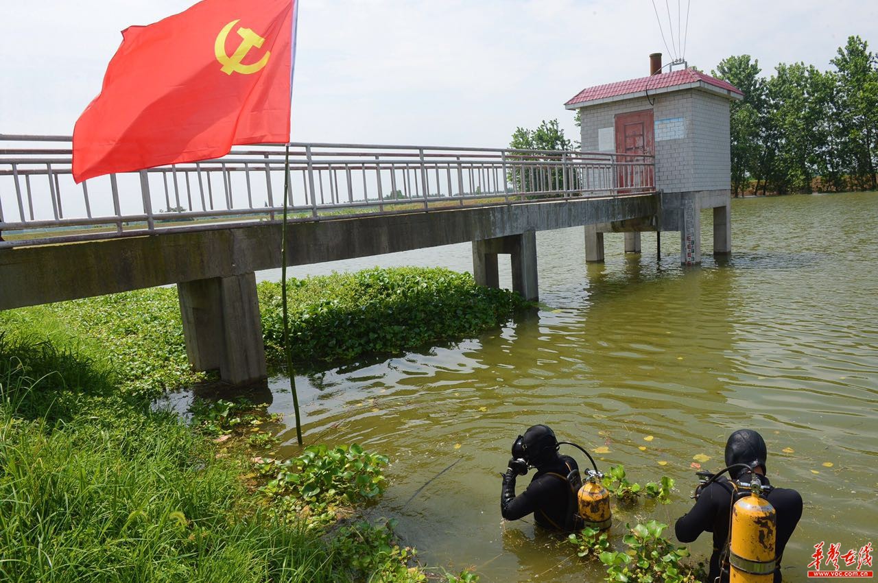 蛙人水中摸排除险保大堤