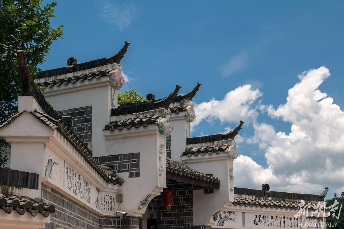 醴陵枫林镇清荷文化周邀你去休闲