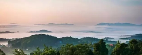 清凉一“夏”|花钱去度假 不如来舜皇山消暑