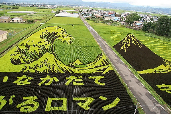 日本的休闲农业是如何赚钱的？