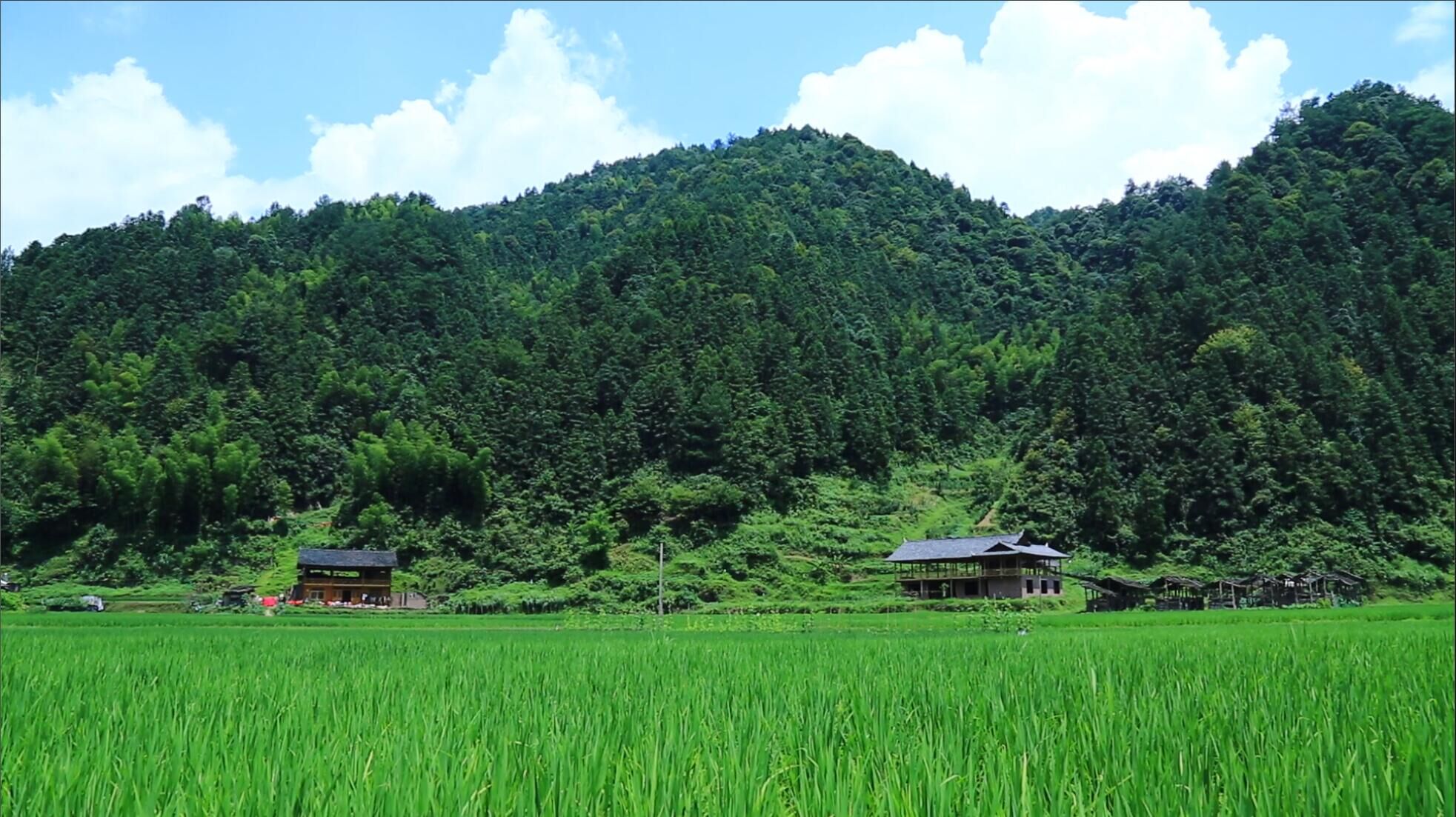 视频｜飞歌南山 绿韵城步