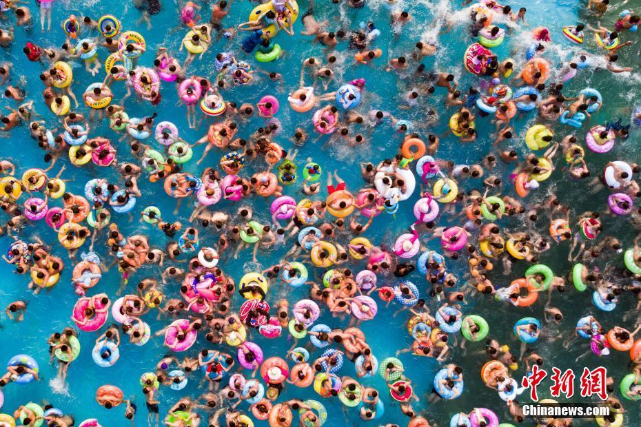 南京拉响高温"红警" 泳池"下饺子"