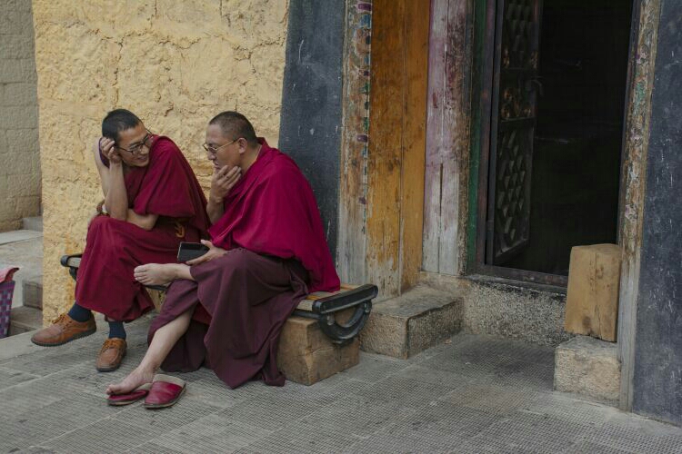 红城寺违法行为图片