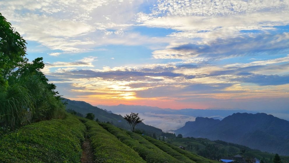 2017年7月,摄于自海拔1500米的常德市东山峰农场.许厚明 摄