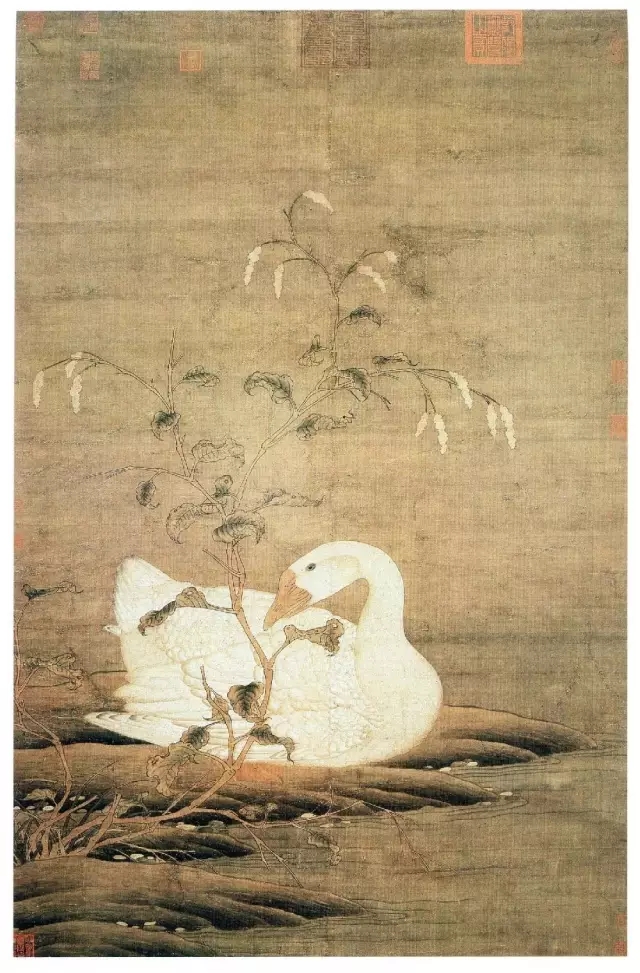 物候志丨曹萍波:溪头开遍红蓼花