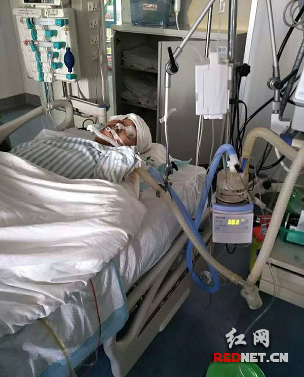 衡阳准大学生斑马线上遭遇车祸后续现已不幸离世