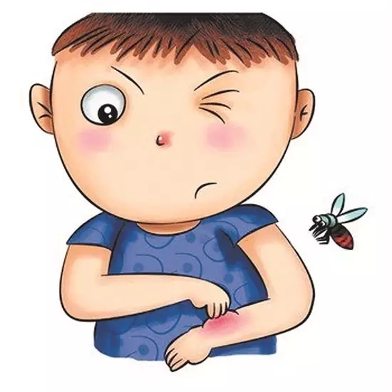 这时的蚊子咬人更狠,疯狂吸血,是在为越冬储备能量.