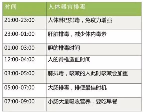 《排毒时间表》究竟有科学依据吗?