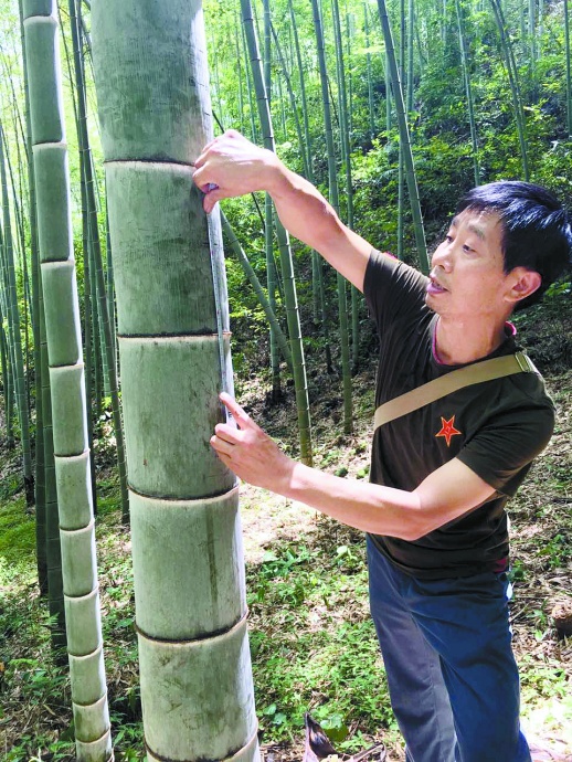 新湖南丨五溪早报8月26日星期六