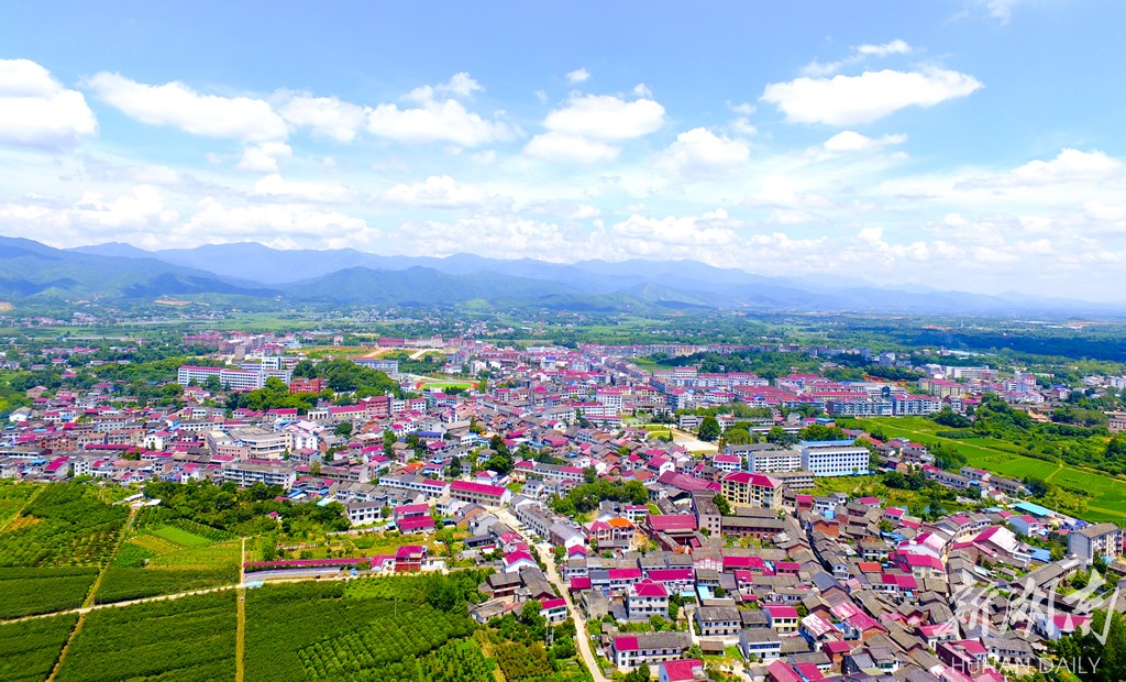 古港镇葛家镇高坪镇洞阳镇大瑶镇大围山镇达浒镇枨冲镇