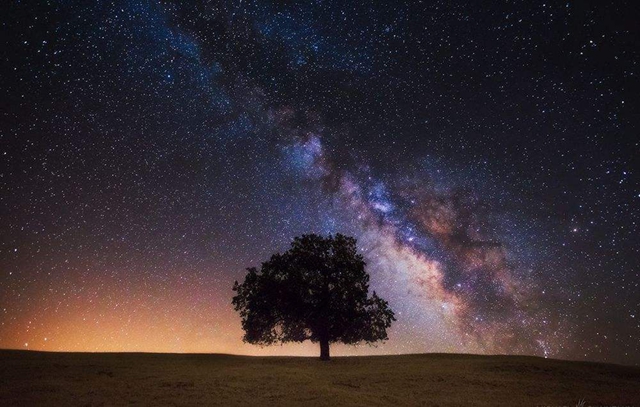 星 夜 引文丨蔡建和晃晃水中燈,瑩瑩天上星.蛙鳴夜色遠,月瀉河風清.