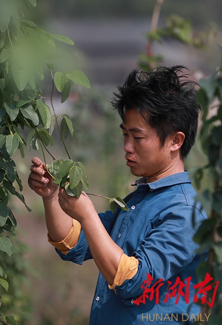 通讯员 许印文 记者 雷鸿涛      "我就是东方不败!