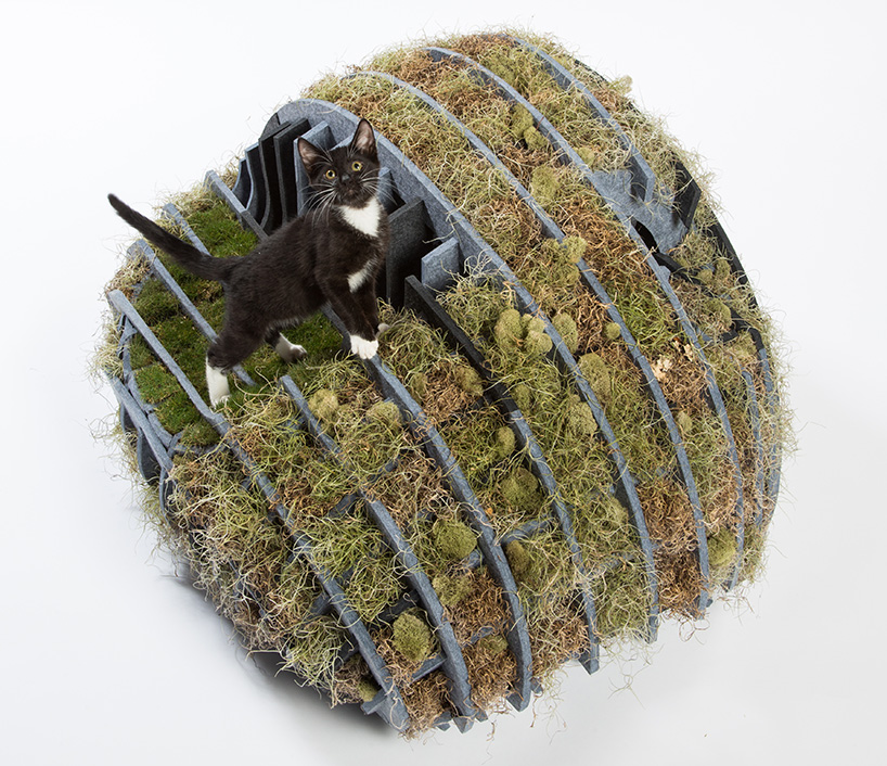 洛杉矶顶尖建筑师为流浪猫打造时髦户外猫屋