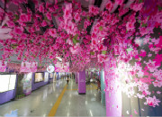冬日桃花朵朵开，大湘西旅游首次组团亮相长沙地铁站