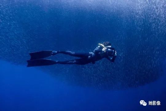 她是潜水员也是摄影师，她一直都在寻找“活着”的感觉