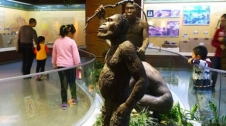 自然博物馆成北京家长冬日“遛娃”好去处