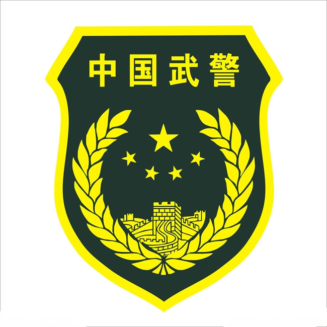 武警臂章图案图片